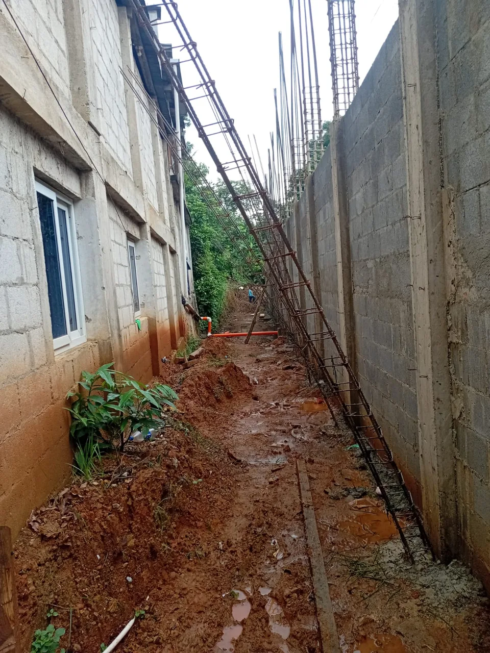 Avance de obra del 01/08/2025